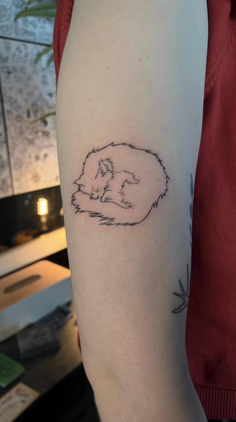 Fine line tattoo artist Uppsala — sleeping cat, contour line