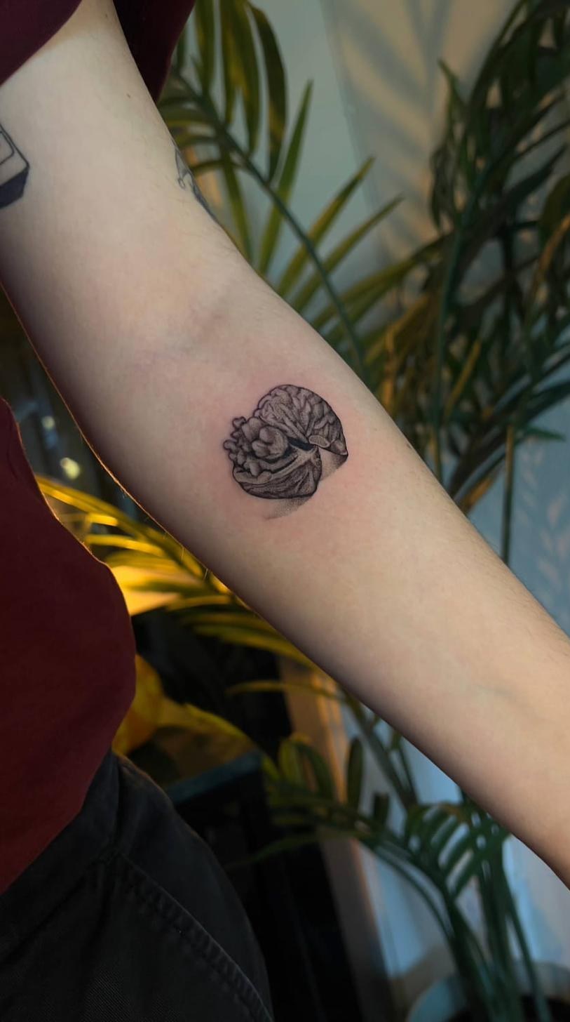 Micro-realism tattoo Uppsala — walnut and brain, forearm